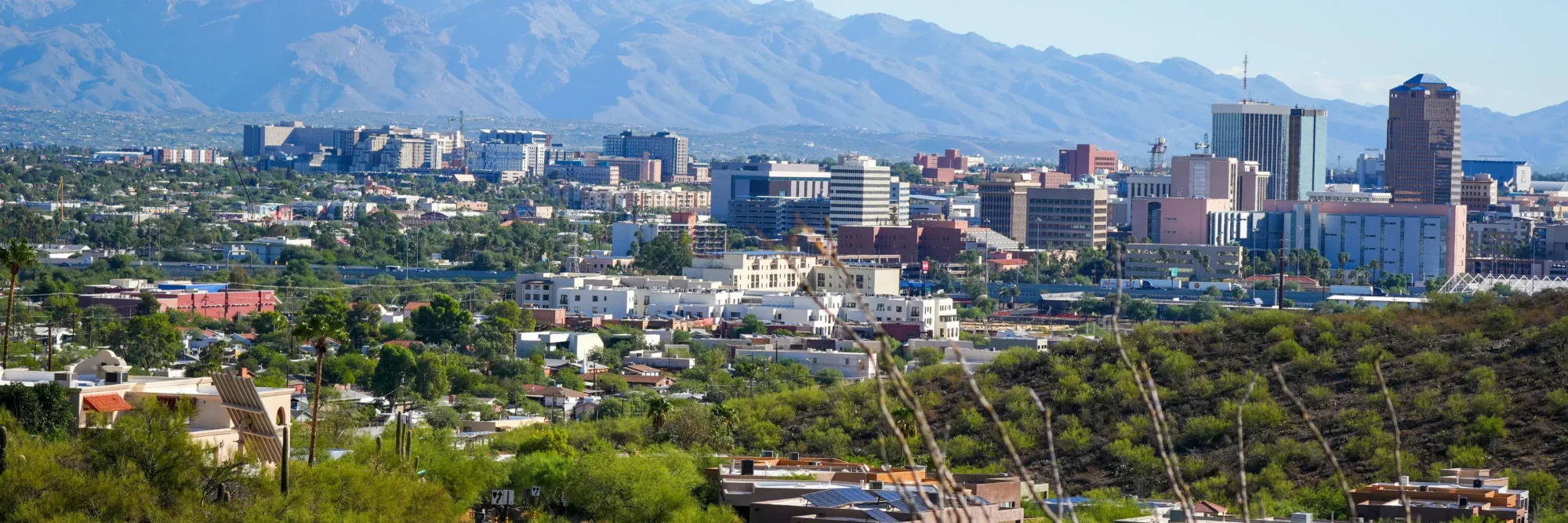 Tucson skyline with natural settings in the foreground and buildings before the mountain ranges in the background.